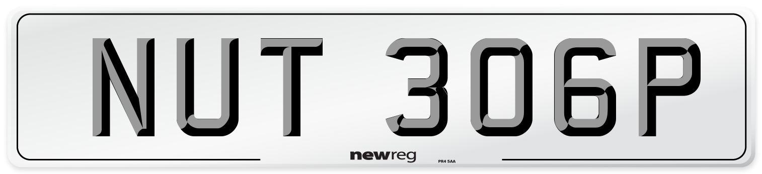 NUT 306P Number Plate from New Reg